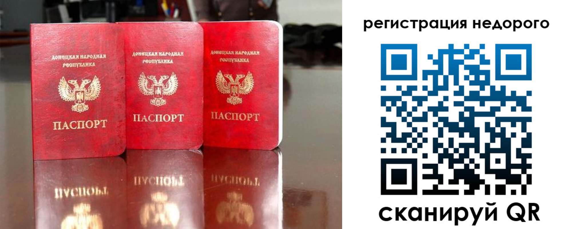 прописка поиск в Дмитрове